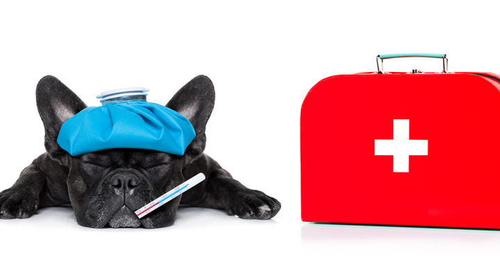 Reisekrankenversicherung (Care Concept) Reisekrankenversicherung (Care Concept)